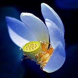 Steam《侍魂 晓》与DLC角色天草四郎时贞今日上线